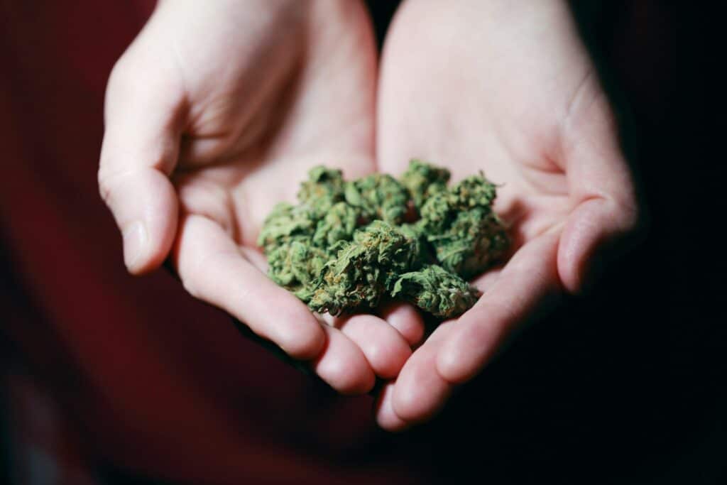 Ecb A A B Ef B Kush In Close Up Photography Scaled