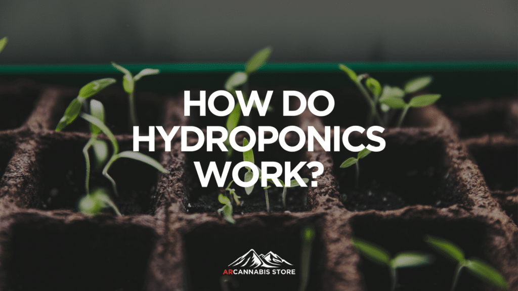 Ecb Ec B Fed E Hydroponics