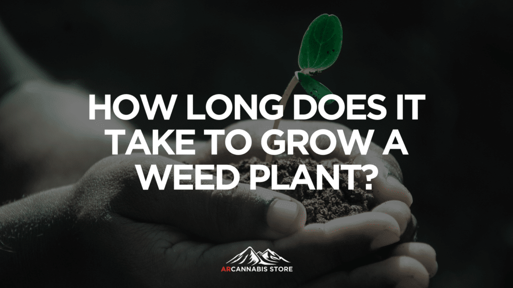 Fe Dfd D C Affed How Long Does It Take To Grow A Weed Plant