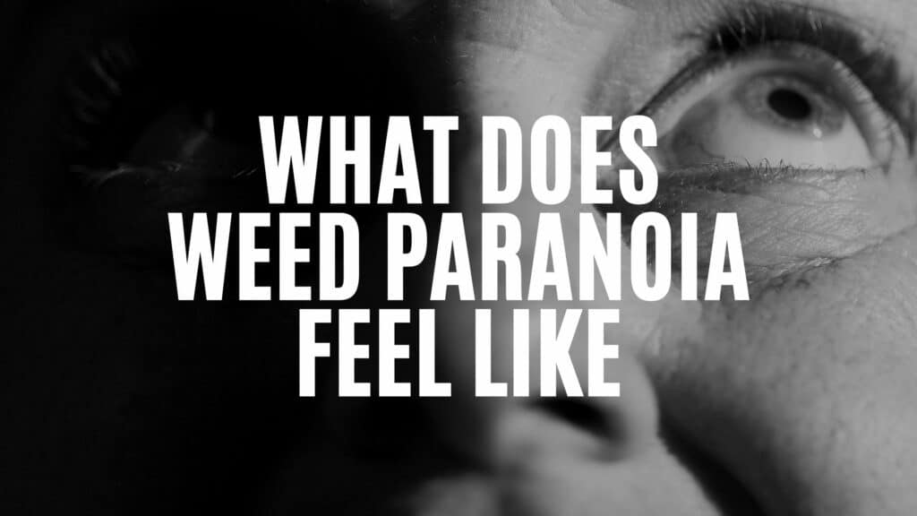 B Cc Ee B What Does Weed Paranoia Feel Like