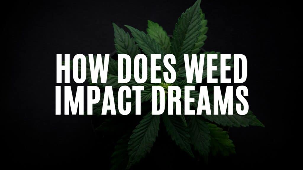 B A Af Ef Bc D How Does Weed Impact Dreams