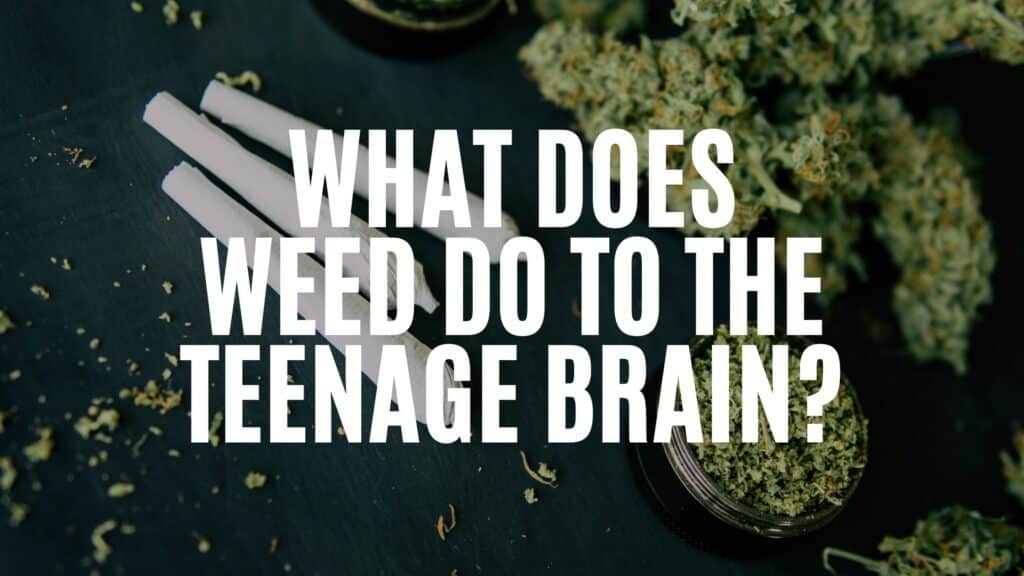 B E B Ddd F What Does Weed Do To The Teenage Brain