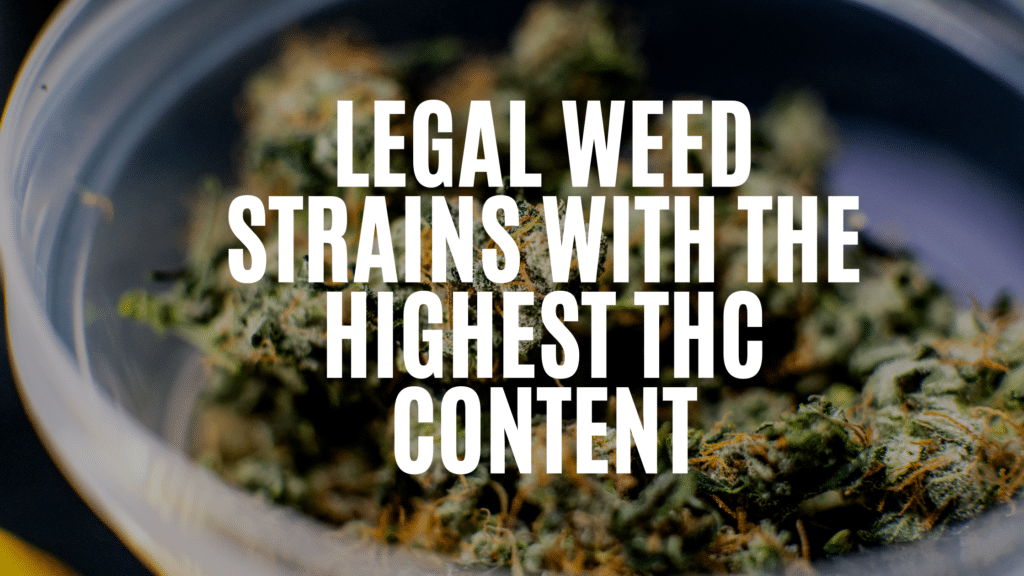 C Db E B Ce Add Legal Weed Strains With The Highest Thc Content