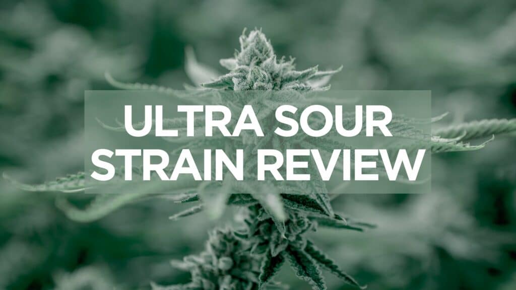 B Ad E Fc D Ecb F Ultra Sour Strain Review Scaled