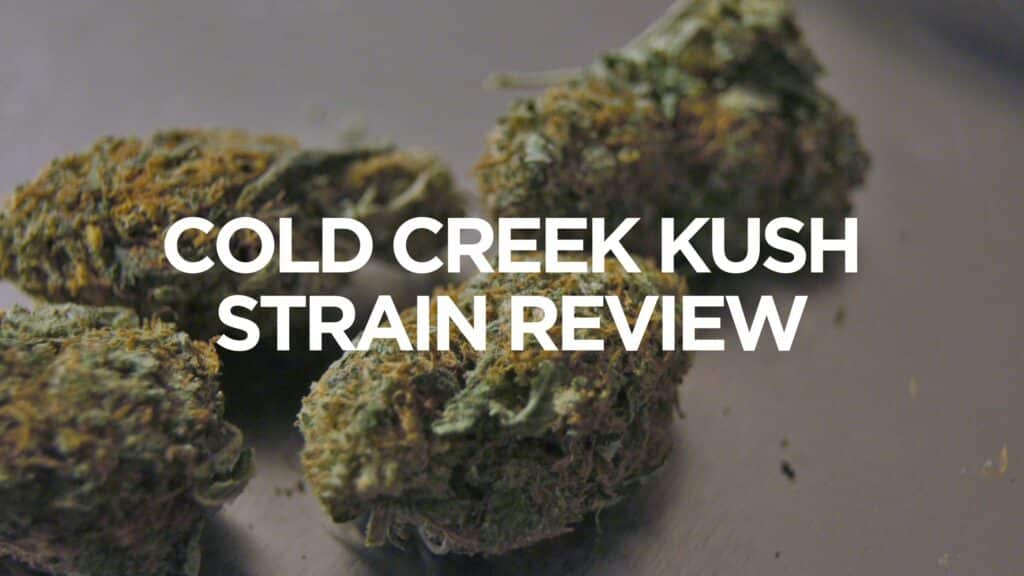 A C C Cold Creek Kush Strain Review Scaled