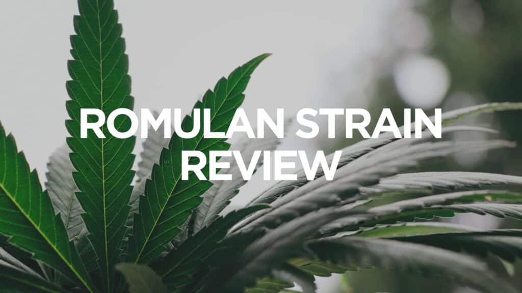 B D A A D Af Romulan Strain Review Scaled