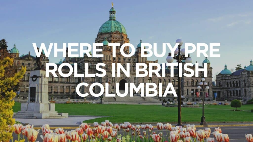 C C D F Dc E Where To Buy Pre Rolls In British Columbia Scaled