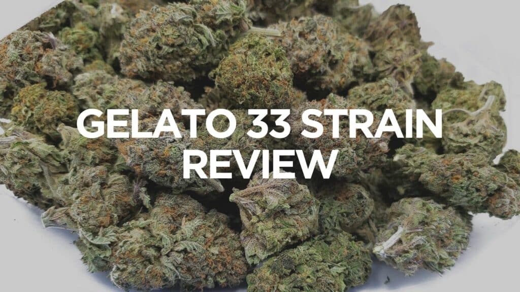 F Db Ec D Bca A Gelato Strain Review Scaled