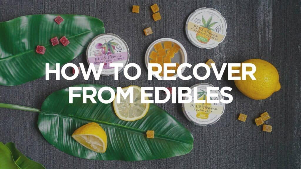 A D Cc D How To Recover From Edibles Scaled