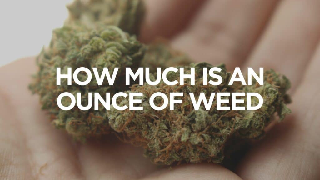 How Many Grams Are In An Ounce of Cannabis?
