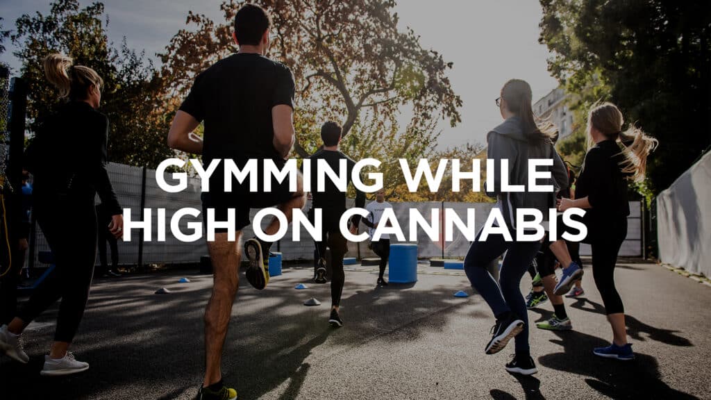 E Ffb Bf D E Gymingqhighcannabis