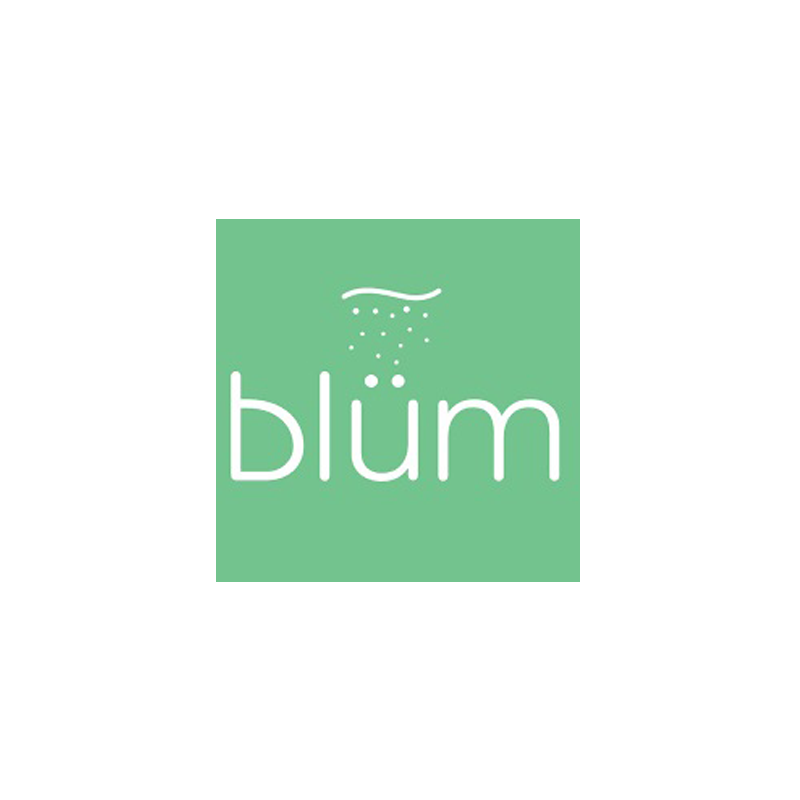 Blum Beverage Co.: STRAWBERRY MINT LIME BEVERAGE 2 Blum Beverage Co Logo