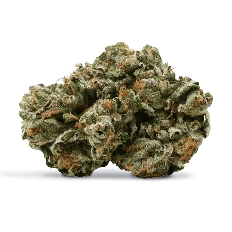 Pure Sunfarms: Pink Kush 2 Pure Sunfarms Pink Kush