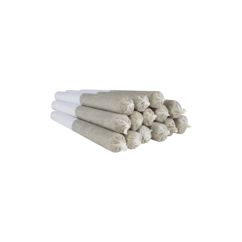 Shred : GNARBERRY JS PRE-ROLLS 1 Shred GNARBERRY JS PRE-ROLLS