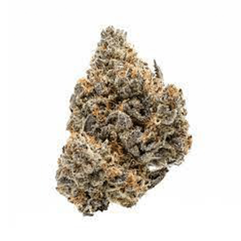 Sweetgrass Organic Cannabis : CRUSHED VELVET 2 Sweetgrass Organic Cannabis CRUSHED VELVET a