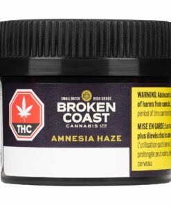 Amnesia Haze Broken Coast Cannabis