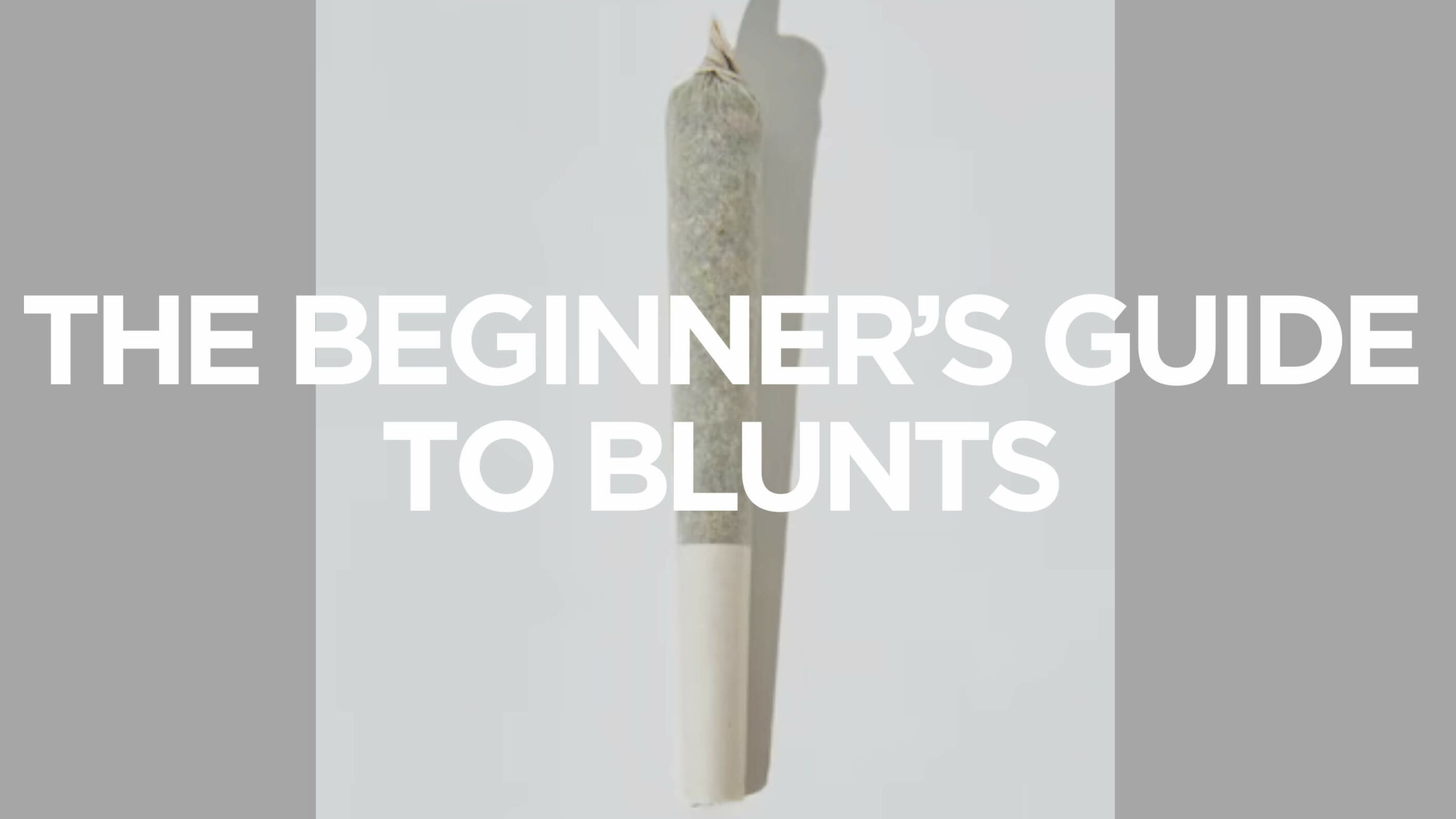 The Beginners Guide To Blunts