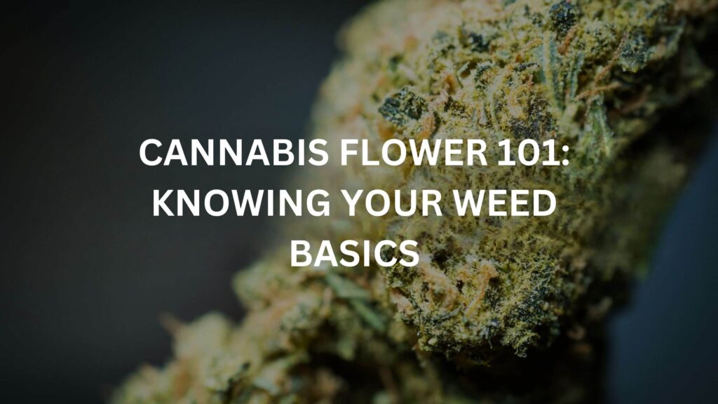 Cannabis Flower Knowing Your Weed Basics 1 1