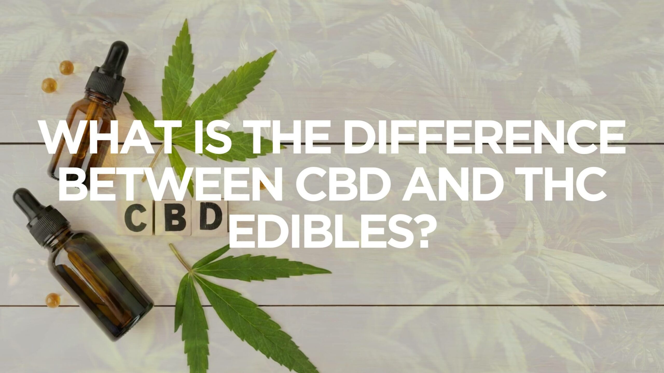 What Is The Difference Between Cbd And Thc Edibles