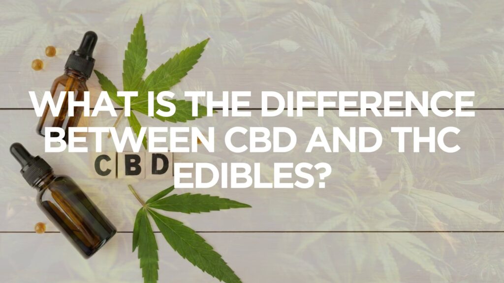 What Is The Difference Between CBD and THC Edibles 1 1