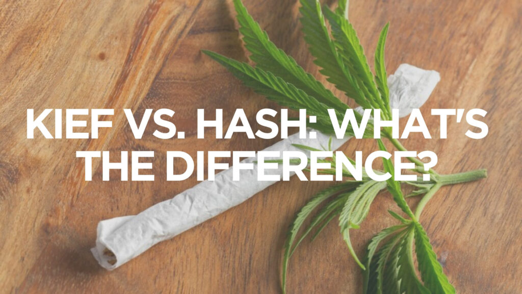Kief Vs Hash 1 1