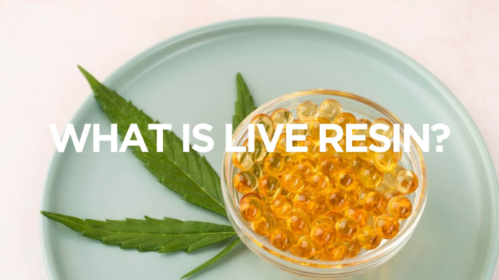 What is Live Resin 1 1