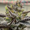 Dunn Cannabis : Sticky Cake