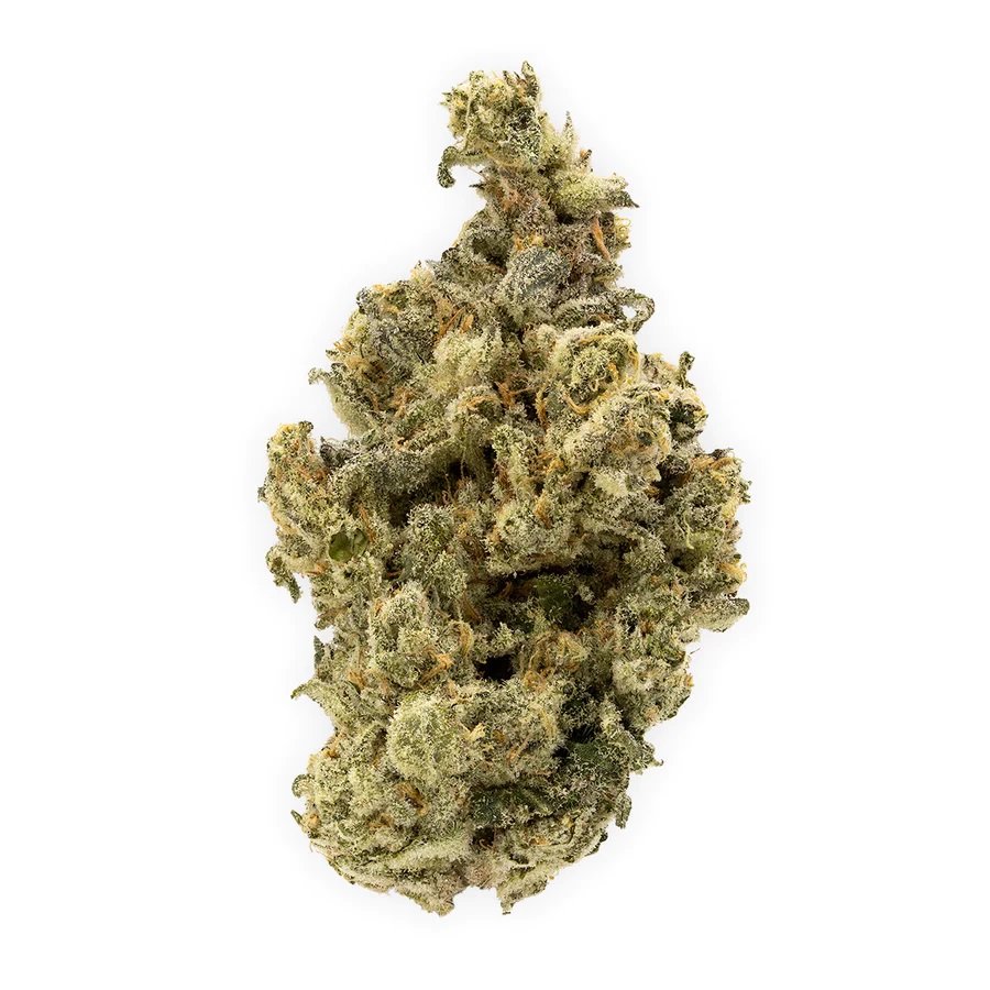 Golden Spruce : CRUNCH BERRIES 2 Herbal Dispatch : CRUNCH BERRIES
