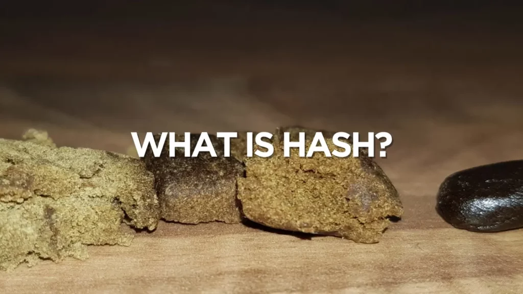 What Is Hash