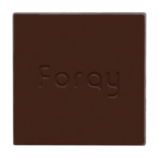 Foray : Salted Caramel Chocolate Square