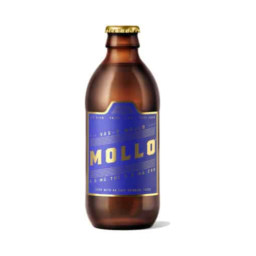 Hexo : Mollo Brew