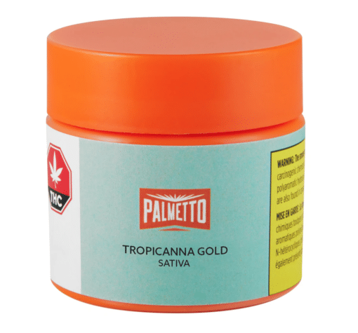 Palmetto : Tropicanna Gold Dried Flower