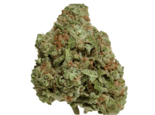 Color Cannabis : Blueberry Seagal