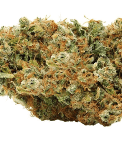 MTL Cannabis: Sage N' Sour