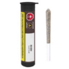 Station House : Gg 4 Pre-Roll