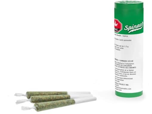 Spinach : Green Monster Breath Pre-Rolls (Gmo Cookies X Animal Cookies )