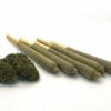 Natural History : Acdc Cks Pre-Rolls