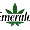 Emerald : Thc Indica Vape Cartridge (Durgamata )