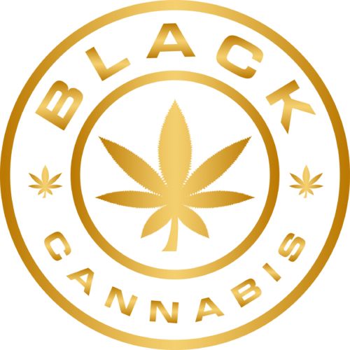 [Bc Black] Living Cannabis : Triple Og