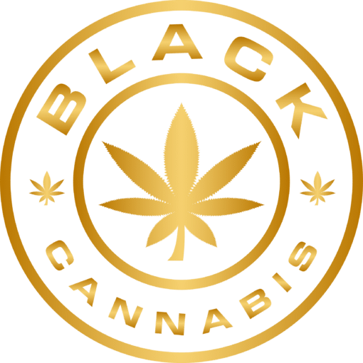 [Bc Black] Living Cannabis : Triple Og