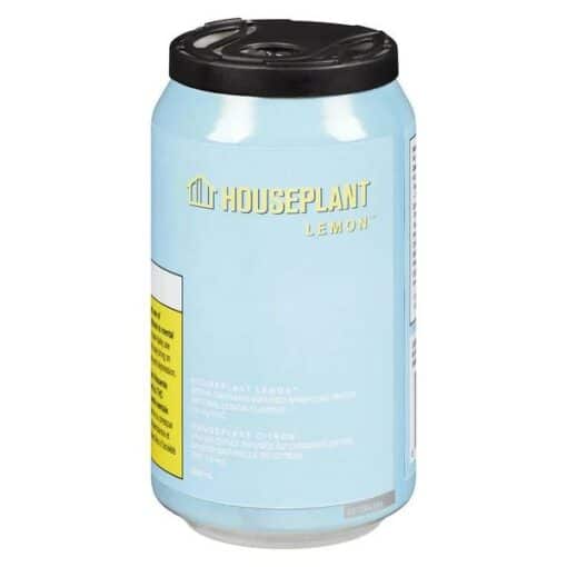 Houseplant : Lemon Sparkling Water