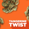 Spinach : Tangerine Twist