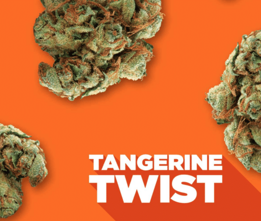 Spinach : Tangerine Twist