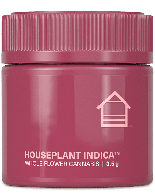Houseplant: Indica
