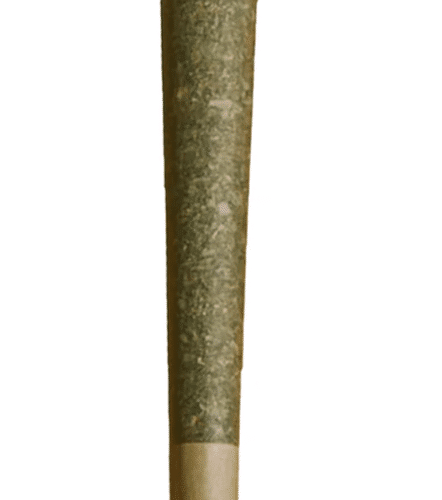 Weed Me : POWDERED DONUTS PRE-ROLL