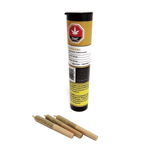 Dab Bods : Pineapple Chunk Resin Infused Pre-Rolls