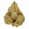 Whistler Cannabis : Bc White Grape Og