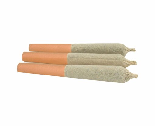 Palmetto : Blue Razzleberry Kush Infused Pre-Rolls (Southern Berry Flower)