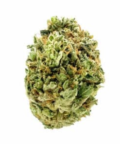 [MTL Cannabis] LowKey : HAZE (AMNESIA HAZE)
