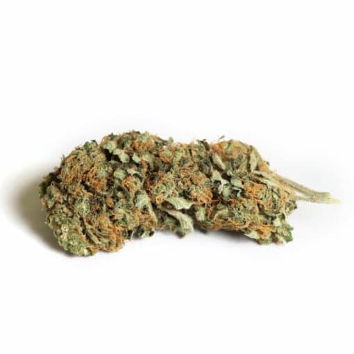 Kiwi Cannabis - Mango Haze